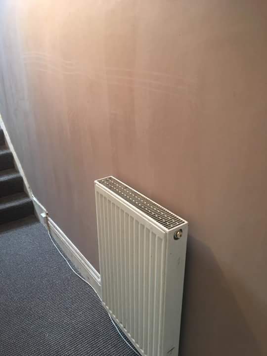 Select Plastering · Photos 12